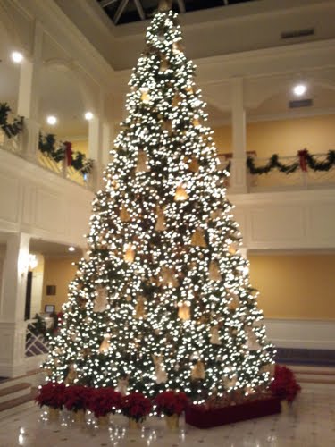 Photo credit: www.hamptonroads.com
